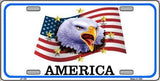 America Metal Novelty License Plate
