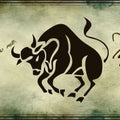 Zodiac License Plate