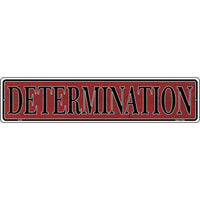 Determination Novelty Metal Vanity Small Street Sign K-019