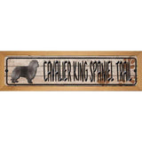 Cavalier King Spaniel Trail Novelty Wood Mounted Metal Small Street Sign WB-K-048