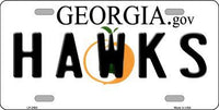 Atlanta Hawks Georgia Novelty State Background Metal License Plate