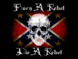 Born A Rebel Metal Novelty Parking Sign