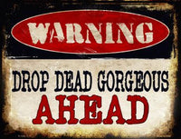 Warning Drop Dead Gorgeous Metal Novelty Parking Sign