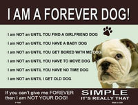 Forever Dog Metal Novelty Parking Sign