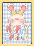 Happy Spring Blue Plaid Metal Novelty Seasonal Parking Sign