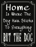 Home Where The Dog Metal Novelty Parking Sign