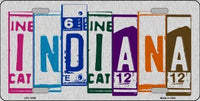 Indiana License Plate Art Brushed Aluminum Metal Novelty License Plate