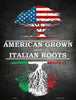 American Grown Italian Roots Metal Novelty Parking Sign