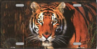 Tiger Metal Novelty License Plate