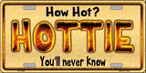 How Hot Metal Novelty License Plate