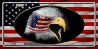 Bald Eagle American Flag Background Metal Novelty License Plate