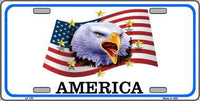 America Metal Novelty License Plate