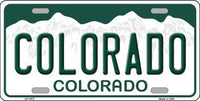 Copy of Copy of Metal Novelty License Plate