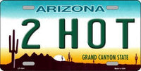 2 Hot Arizona Background Metal Novelty License Plate