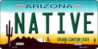 Native  Background Metal Novelty License Plate