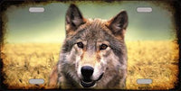 Wolf Metal Novelty License Plate
