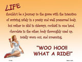 Life What A Ride Metal Novelty Parking Sign