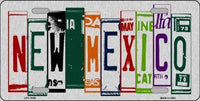 New Mexico License Plate Art Brushed Aluminum Metal Novelty License Plate
