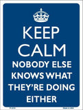 Keep Calm Nobody Else Knows Metal Novelty Parking Sign