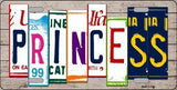 Princess License Plate Art Wood Pattern Metal Novelty License Plate