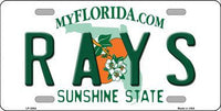 Tampa Bay Rays Florida State Background Metal Novelty License Plate