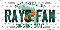 Tampa Bay Rays MLB Fan Florida State Background Metal Novelty License Plate