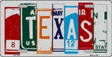 Texas License Plate Art Brushed Aluminum Metal Novelty License Plate